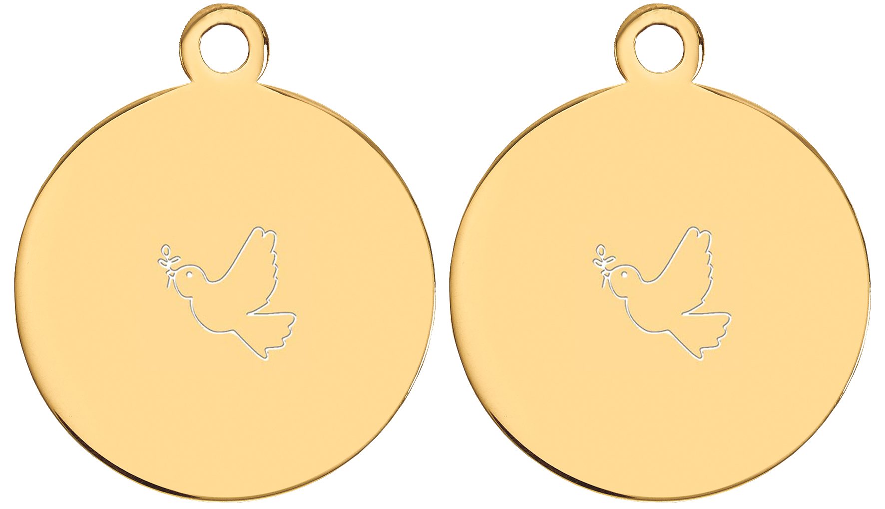 Oorbellen Hangers Stainless Steel DagelijkseBroodkruimels