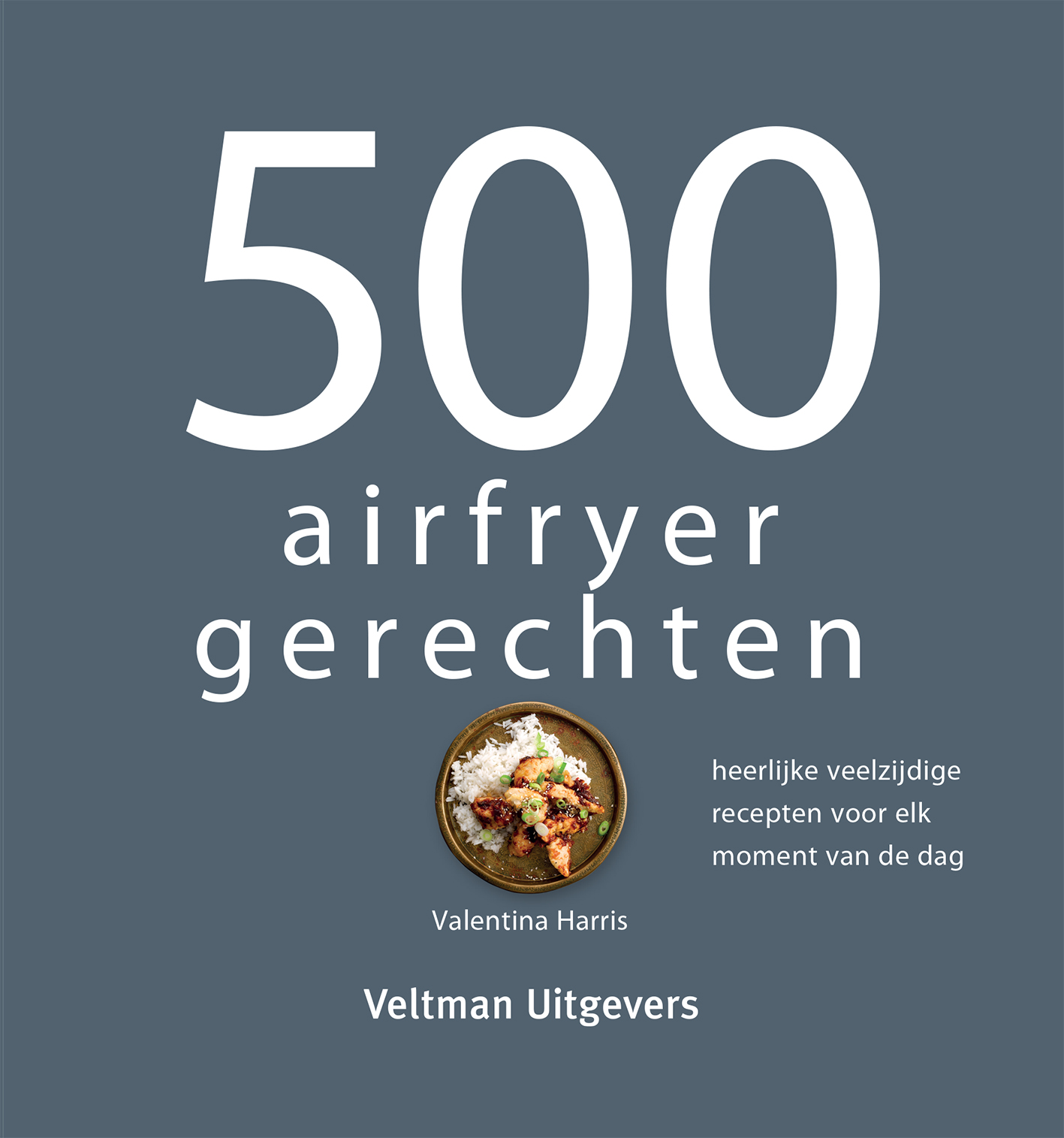 500 Airfryer Gerechten