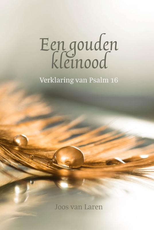Een Gouden Kleinood
