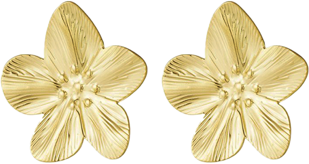 Gouden Oorbellen - Mattheüs 6:28-30 - Bloemen