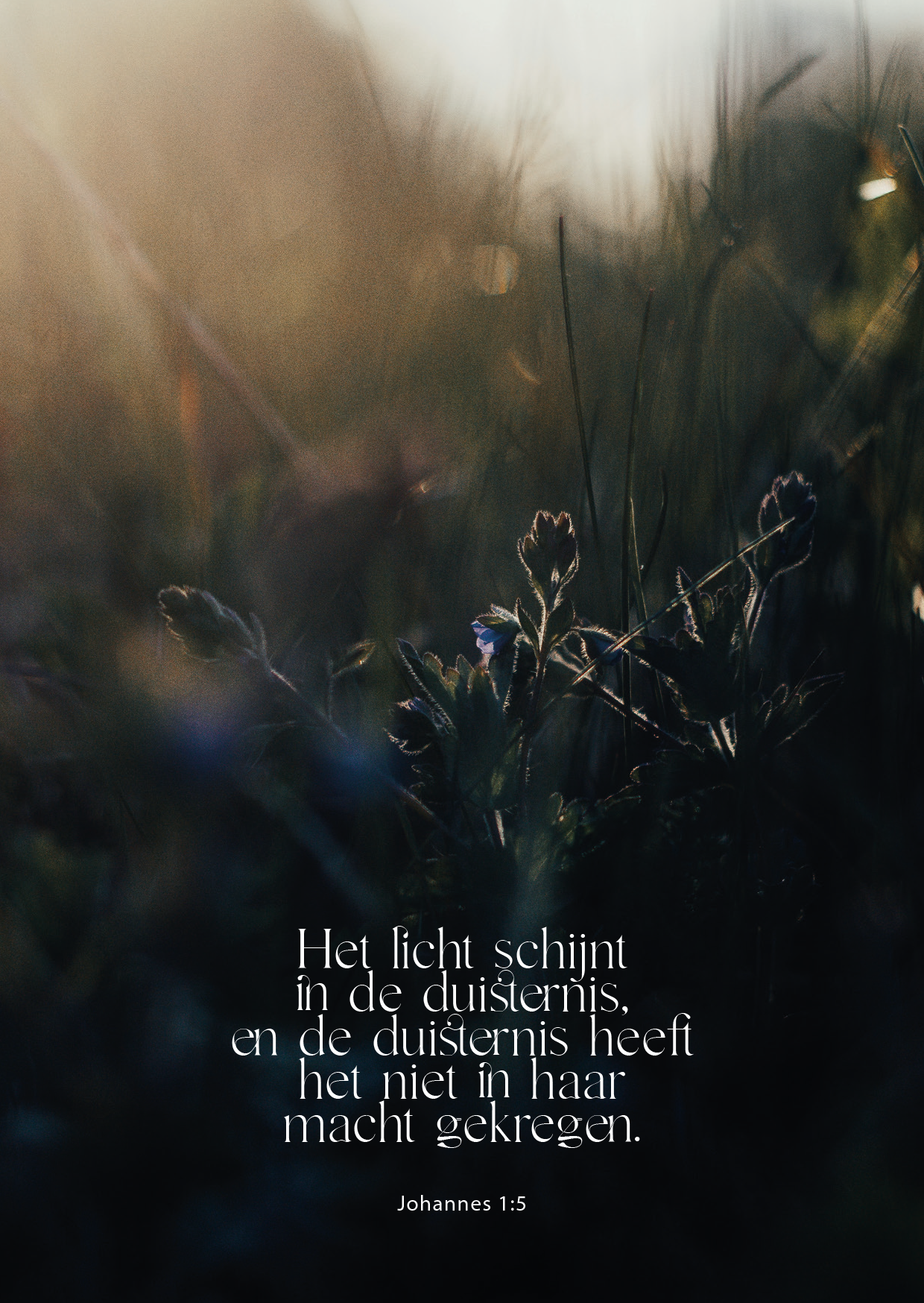 Kaart - Johannes 1:5 - Het Licht Schijnt in de Duisternis