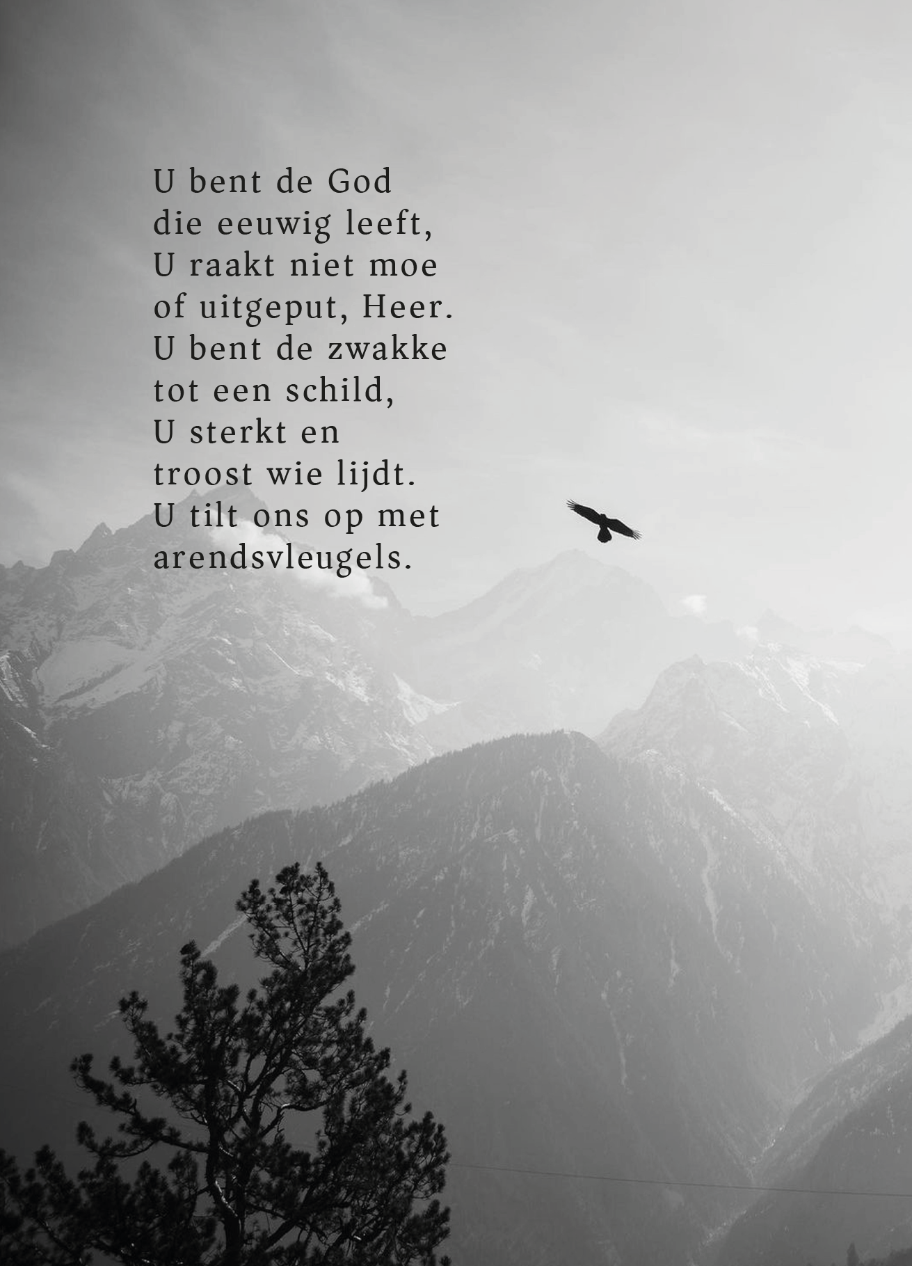 Kaart - Opwekking 702 - U Bent de God die Eeuwig Leeft