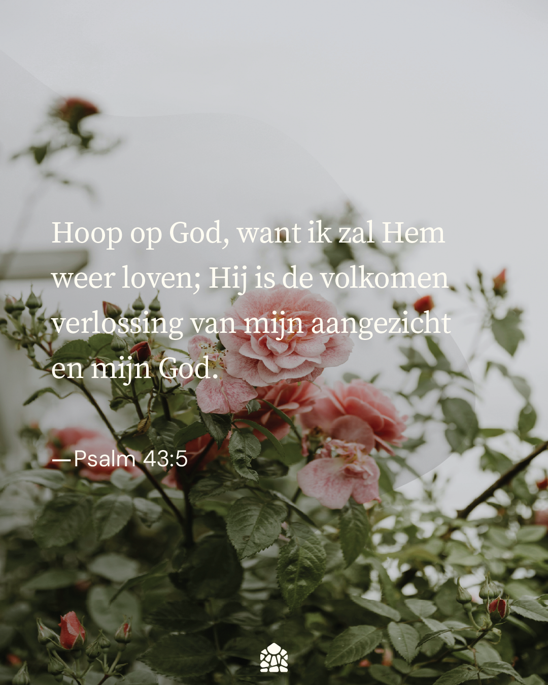Psalm 43 - Herziene Statenvertaling - DagelijkseBroodkruimels