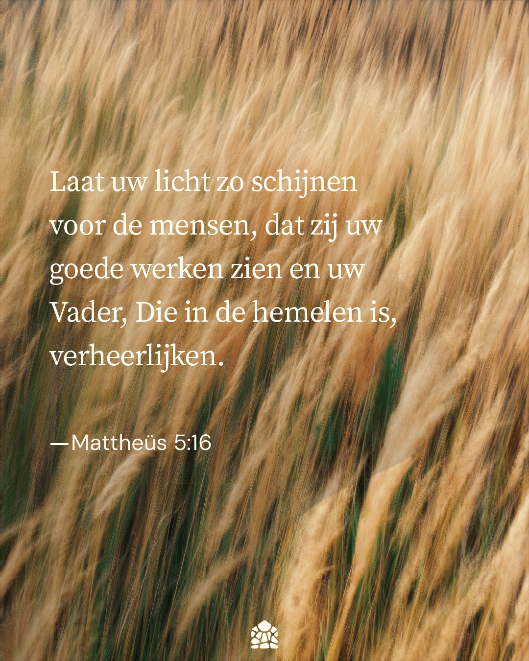 Mattheüs 5:16