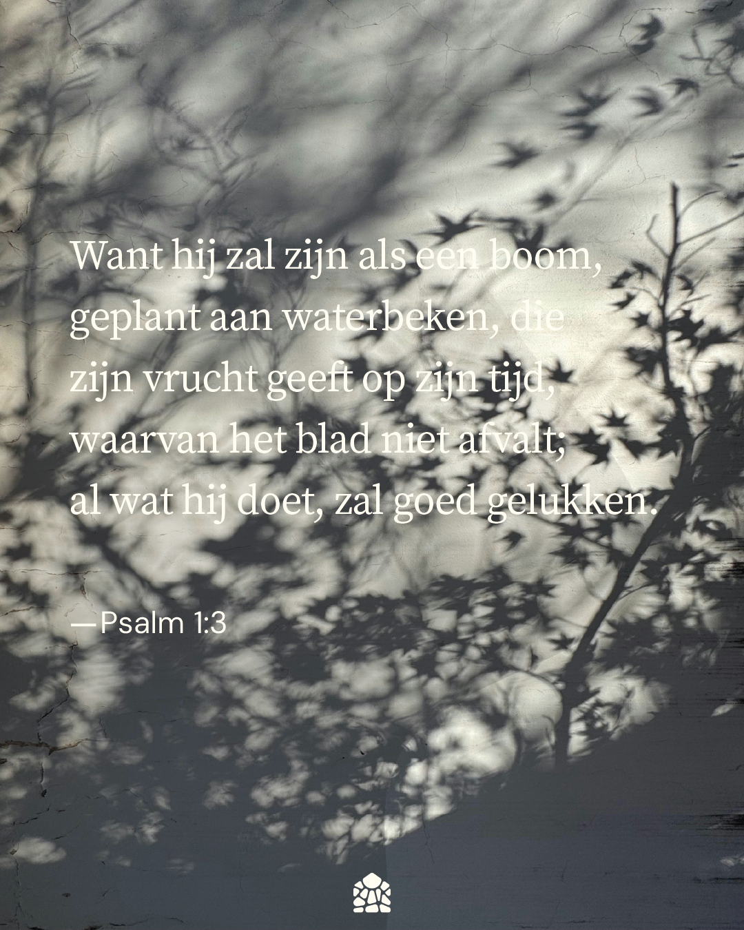 Psalm 1:3