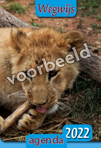 Wegwijs Agenda 2003