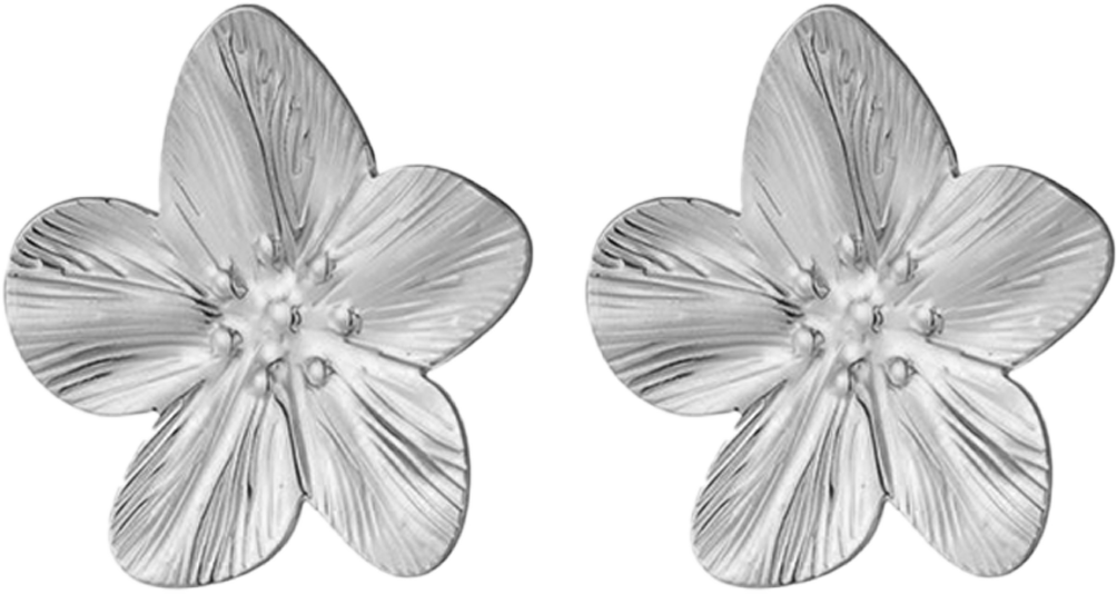 Zilveren Oorbellen - Mattheüs 6:28-30 - Bloemen
